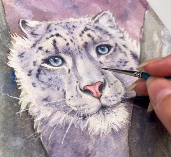 Leopardo delle Nevi Leopardo delle Nevi